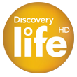 Discovery Life